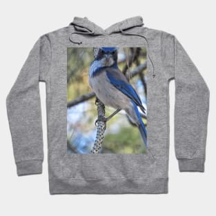 I am birdman Hoodie